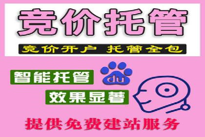 探索sem代运营公司成功案例的共同点