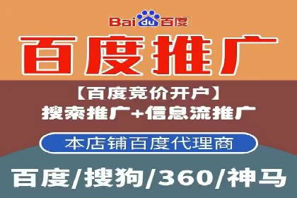 竞价排名在品牌推广中的经典案例